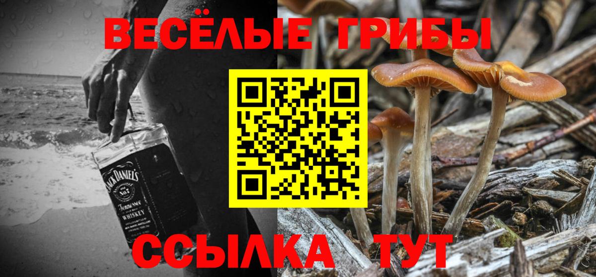 Псилоцибиновые грибы GOLDEN TEACHER  Псилоцибиновые грибы Psilocybe  Вход с VPN  Чапаевск 